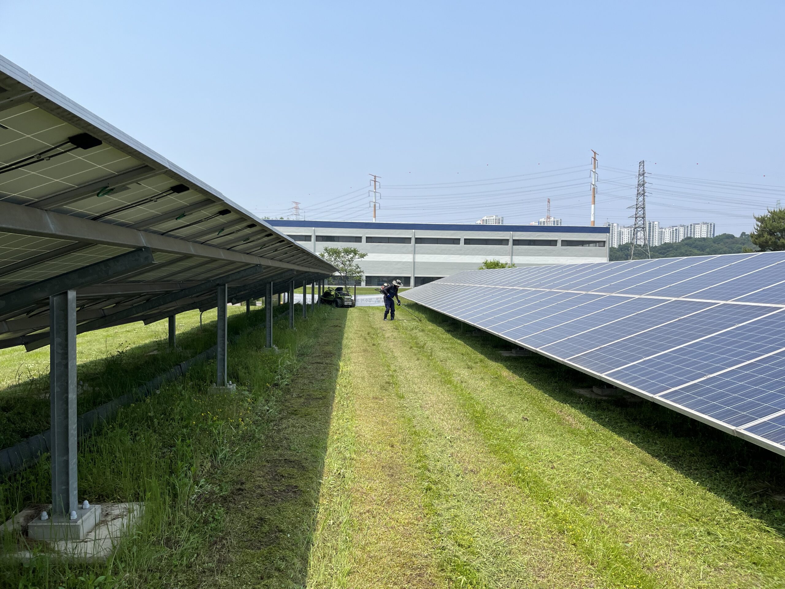 다온 예초작업 현장